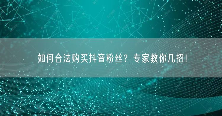 如何合法购买抖音粉丝？专家教你几招！
