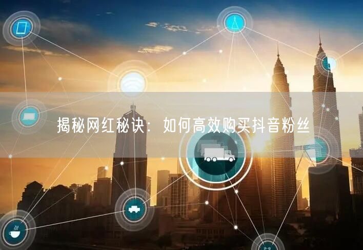 揭秘网红秘诀：如何高效购买抖音粉丝