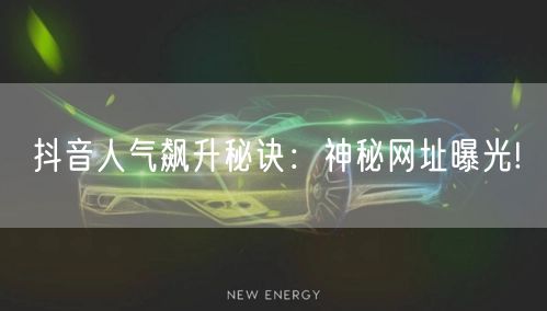 抖音人气飙升秘诀：神秘网址曝光!