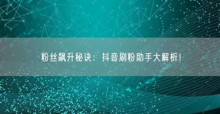 粉丝飙升秘诀：抖音刷粉助手大解析！