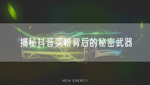 揭秘抖音买粉背后的秘密武器