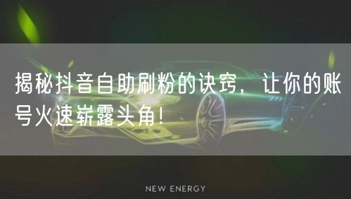 揭秘抖音自助刷粉的诀窍，让你的账号火速崭露头角！