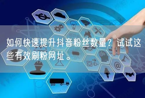 如何快速提升抖音粉丝数量？试试这些有效刷粉网址。