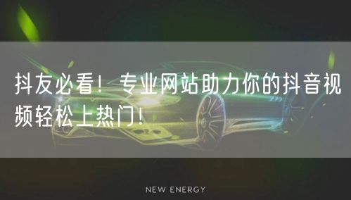 抖友必看！专业网站助力你的抖音视频轻松上热门！