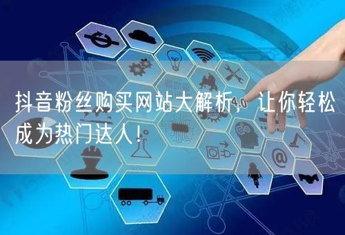 抖音粉丝购买网站大解析，让你轻松成为热门达人！