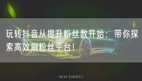 玩转抖音从提升粉丝数开始：带你探索高效刷粉丝平台！