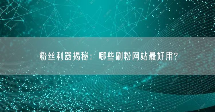 粉丝利器揭秘：哪些刷粉网站最好用？