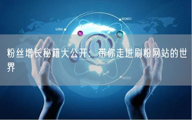 粉丝增长秘籍大公开：带你走进刷粉网站的世界