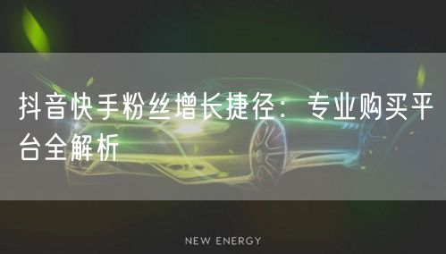 抖音快手粉丝增长捷径：专业购买平台全解析