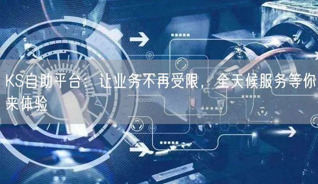 KS自助平台：让业务不再受限，全天候服务等你来体验