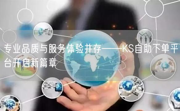 专业品质与服务体验并存——KS自助下单平台开启新篇章