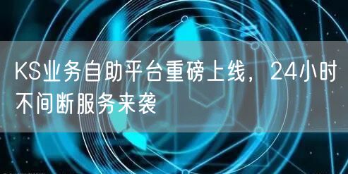 KS业务自助平台重磅上线，24小时不间断服务来袭