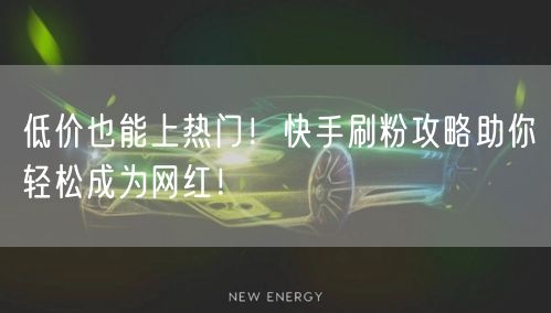 低价也能上热门！快手刷粉攻略助你轻松成为网红！