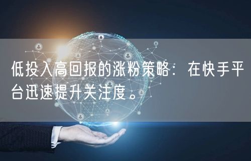 低投入高回报的涨粉策略：在快手平台迅速提