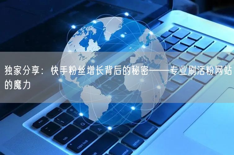 独家分享：快手粉丝增长背后的秘密——专业