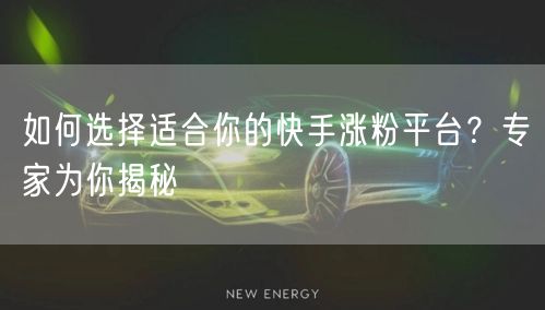 如何选择适合你的快手涨粉平台？专家为你揭秘