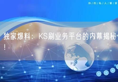 独家爆料：KS刷业务平台的内幕揭秘！