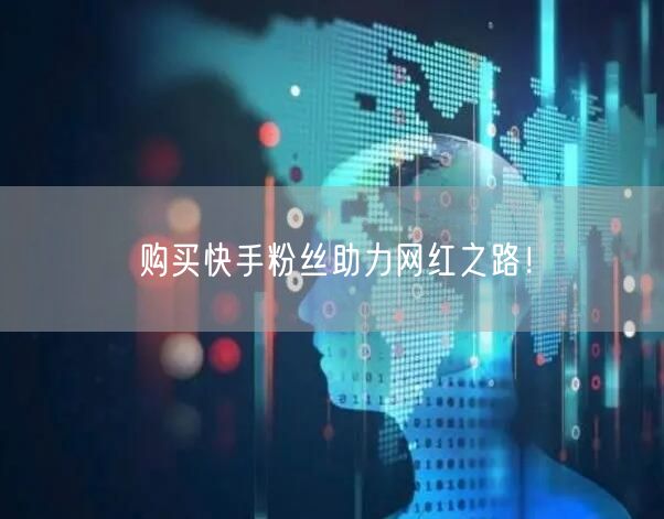 购买快手粉丝助力网红之路！