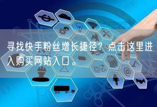 寻找快手粉丝增长捷径？点击这里进入购买网站入口。