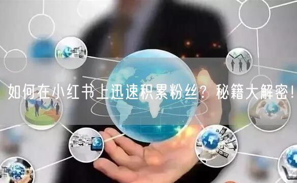 如何在小红书上迅速积累粉丝？秘籍大解密！