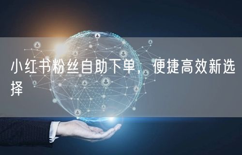 小红书粉丝自助下单，便捷高效新选择