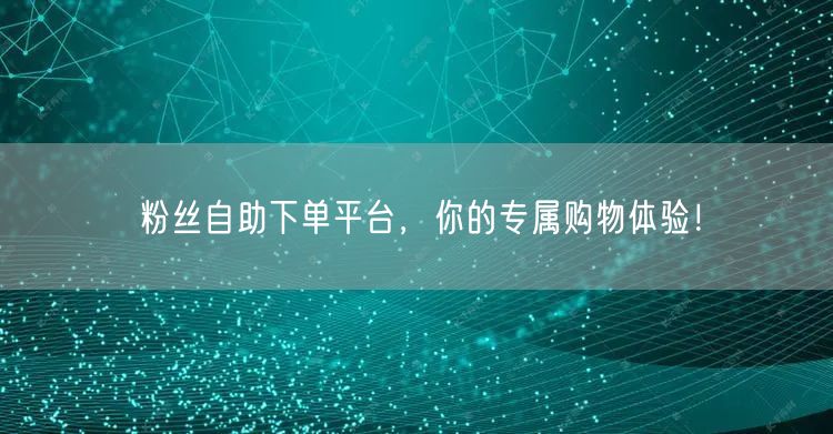 粉丝自助下单平台，你的专属购物体验！