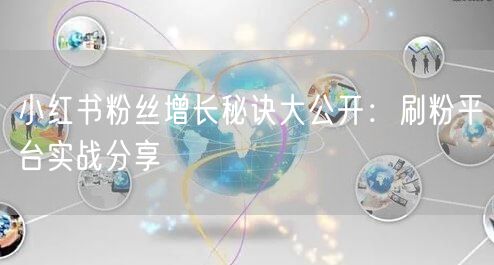 小红书粉丝增长秘诀大公开：刷粉平台实战分享