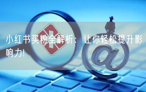 小红书买粉全解析：让你轻松提升影响力!