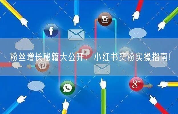 粉丝增长秘籍大公开：小红书买粉实操指南!