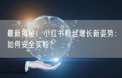 最新揭秘！小红书粉丝增长新姿势：如何安全买粉?