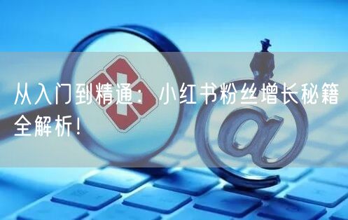 从入门到精通：小红书粉丝增长秘籍全解析！