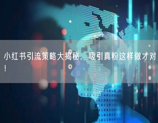 小红书引流策略大揭秘，吸引真粉这样做才对！