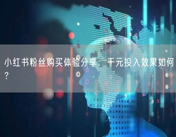 小红书粉丝购买体验分享：千元投入效果如何？