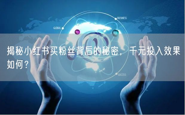 揭秘小红书买粉丝背后的秘密，千元投入效果如何？