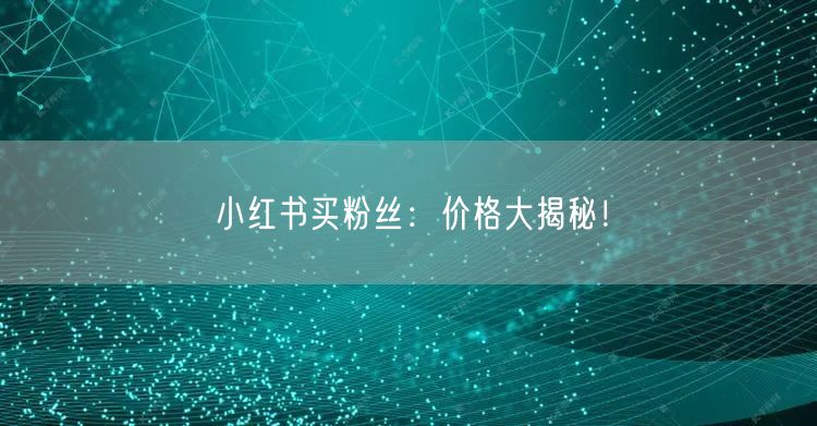 小红书买粉丝：价格大揭秘！