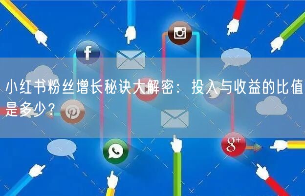 小红书粉丝增长秘诀大解密：投入与收益的比值是多少？