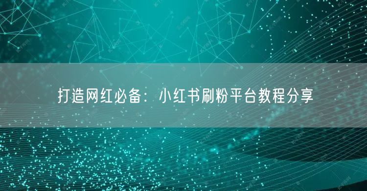 打造网红必备：小红书刷粉平台教程分享