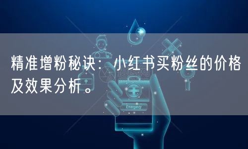精准增粉秘诀：小红书买粉丝的价格及效果分