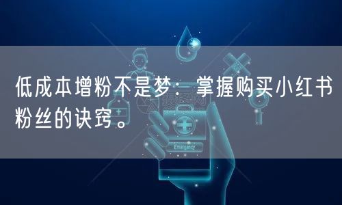 低成本增粉不是梦：掌握购买小红书粉丝的诀