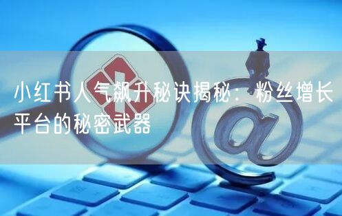 小红书人气飙升秘诀揭秘：粉丝增长平台的秘密武器