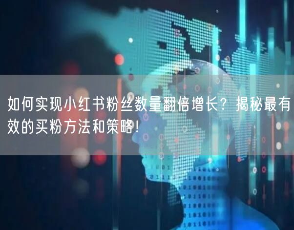 如何实现小红书粉丝数量翻倍增长？揭秘最有效的买粉方法和策略！