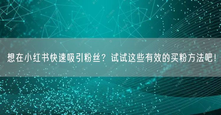 想在小红书快速吸引粉丝？试试这些有效的买粉方法吧！