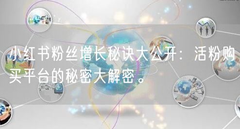 小红书粉丝增长秘诀大公开：活粉购买平台的秘密大解密。