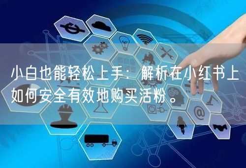 小白也能轻松上手：解析在小红书上如何安全
