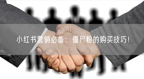 小红书营销必备：僵尸粉的购买技巧！
