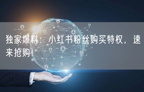 独家爆料：小红书粉丝购买特权，速来抢购！