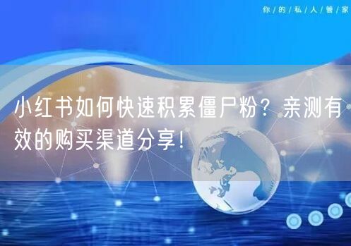 小红书如何快速积累僵尸粉？亲测有效的购买渠道分享！