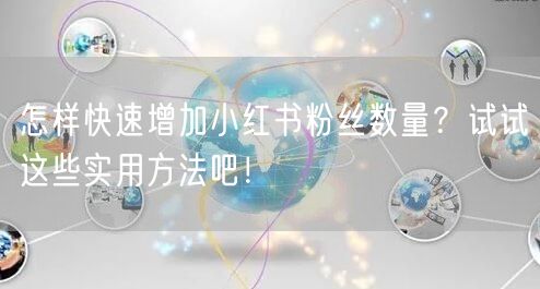 怎样快速增加小红书粉丝数量？试试这些实用方法吧！