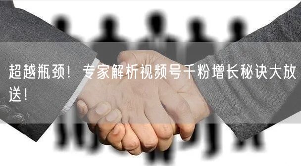 超越瓶颈！专家解析视频号千粉增长秘诀大放送！