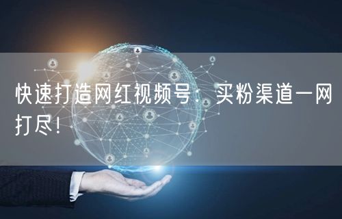 快速打造网红视频号：买粉渠道一网打尽！